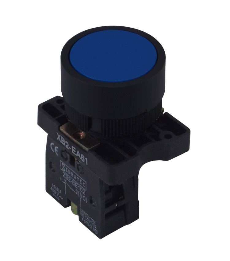 Botão de Impulso Plástico com  Bloco Removível XB2-EA61 Azul 1NA